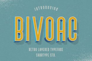 Bivoac Font Review