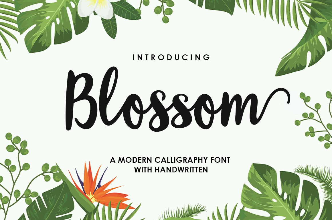 Blossom Script Font for Business