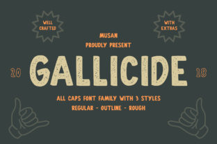 Gallicide: A Vintage Display Font for Modern Design