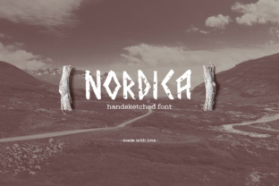 Nordica: A Nordic Font for Business Identity