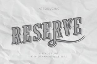 Reserve Font: Modern Typography for Web Design