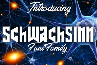 Upgrade Your Brand with Schwachsinn